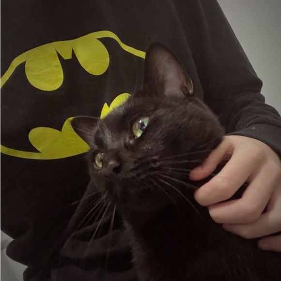 nyghtwing